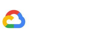 Google Cloud Partner