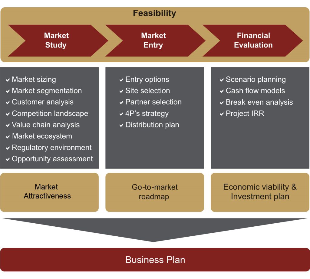 Business plan framework: market study, market entry and financial evaluation leading to a business plan