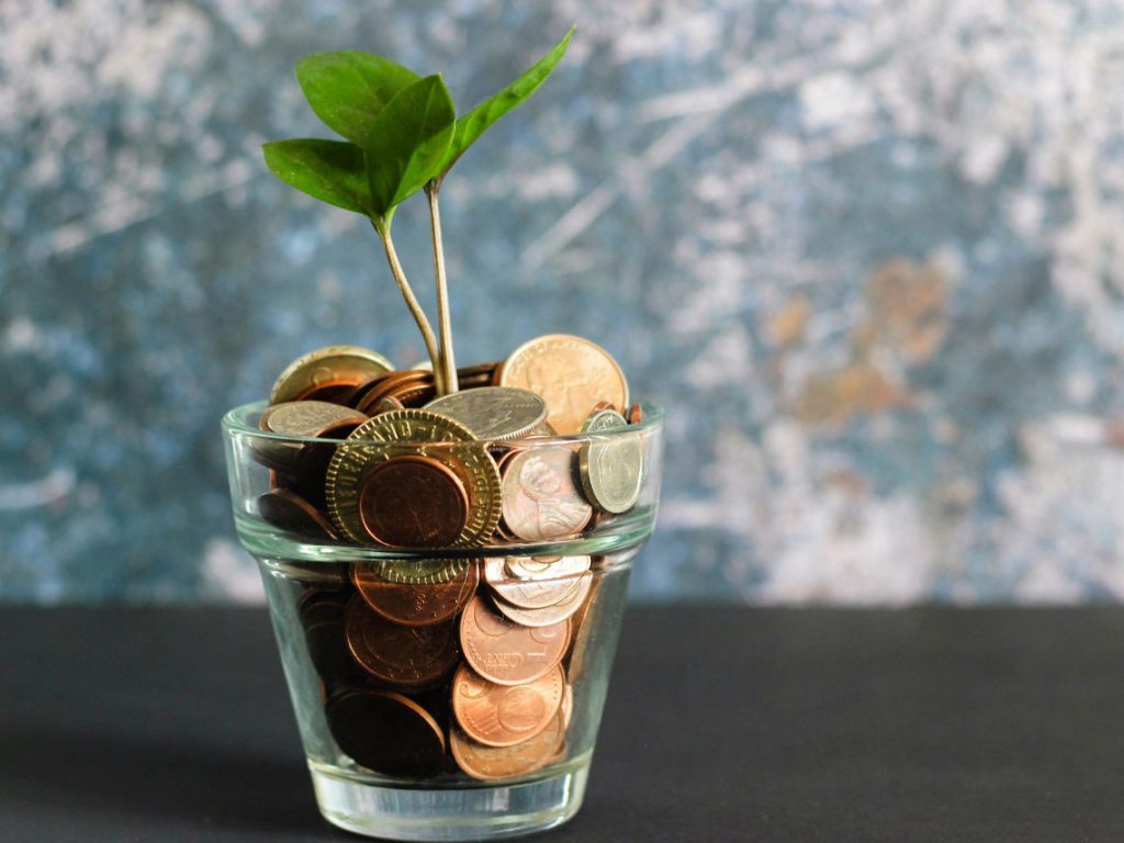 Accounting and bookkeeping for UAE businesses