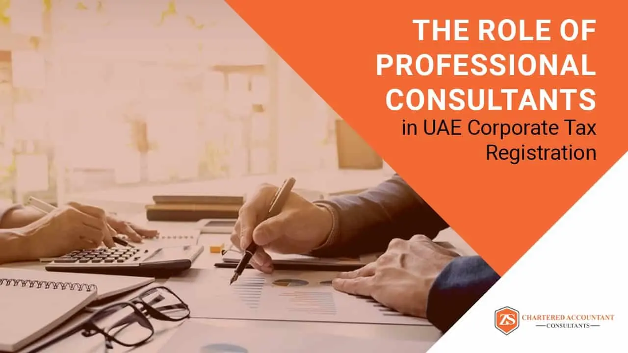 Role of Professional Consultants in UAE Corporate Tax Registration