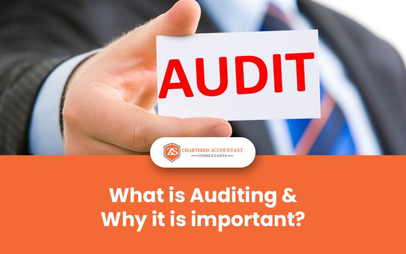 What Is Auditing, and Why Is It Important?