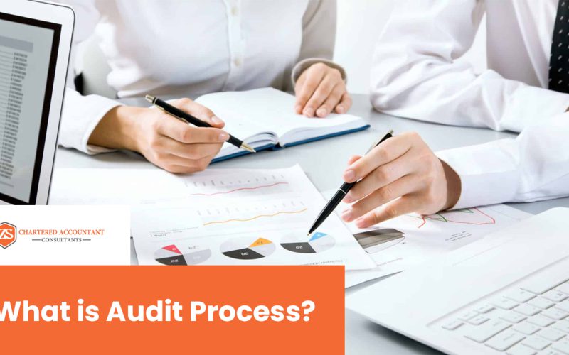 What is the Audit Process? Importance and Their Steps