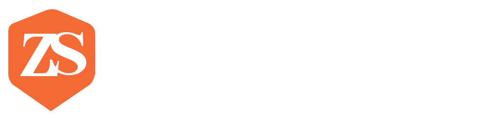 ZS Chartered Accountant Consultants